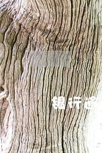 银行逾期贷款还完了 银行逾期贷款还完了