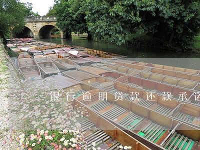 银行逾期贷款还款承诺书 银行逾期贷款还款承诺书