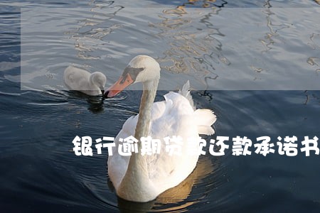 银行逾期贷款还款承诺书范文 银行逾期贷款还款承诺书范文