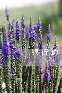 银行逾期贷款违约概率 银行逾期贷款违约概率
