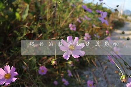 银行逾期贷款造成影响 银行逾期贷款造成影响