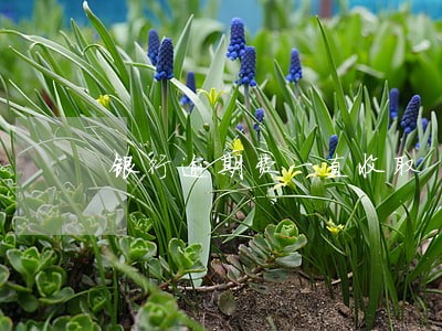 银行逾期费一直收取 银行逾期费一直收取