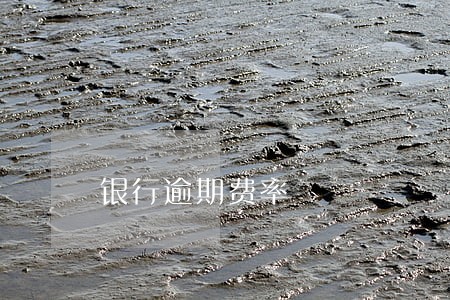 银行逾期费率 银行逾期费率