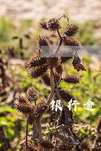 银行逾期费用多少 银行逾期费用多少