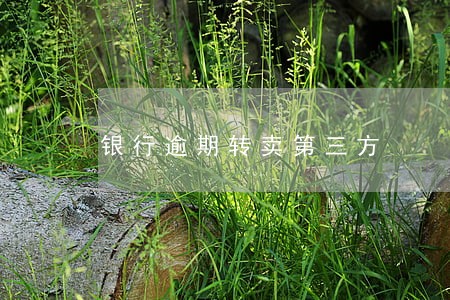 银行逾期转卖第三方 银行逾期转卖第三方