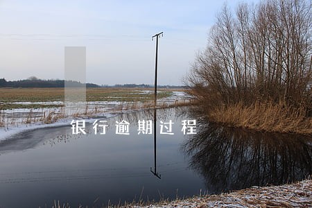 银行逾期过程 银行逾期过程