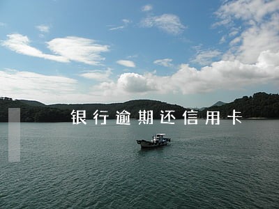 银行逾期还信用卡 银行逾期还信用卡