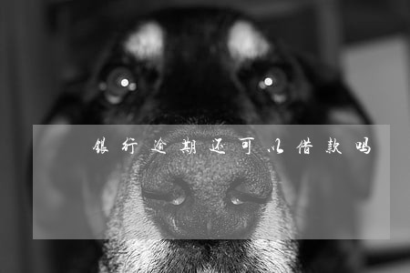 银行逾期还可以借款吗 银行逾期还可以借款吗