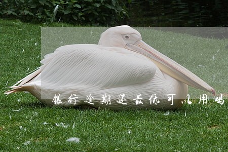 银行逾期还最低可以用吗 银行逾期还最低可以用吗