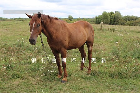 银行逾期还未更新 银行逾期还未更新