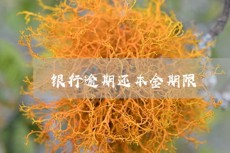银行逾期还本金期限 银行逾期还本金期限