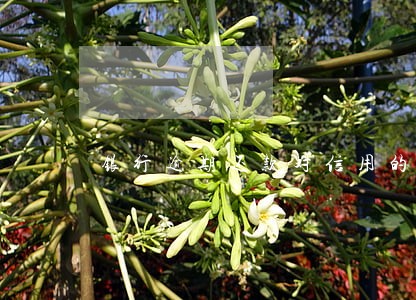 银行逾期还款对信用的影响 银行逾期还款对信用的影响