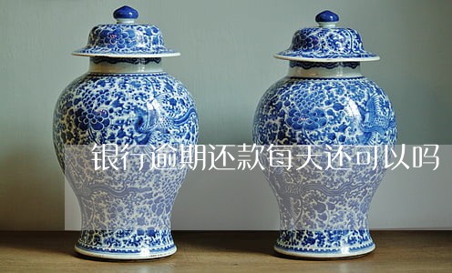 银行逾期还款每天还可以吗 银行逾期还款每天还可以吗