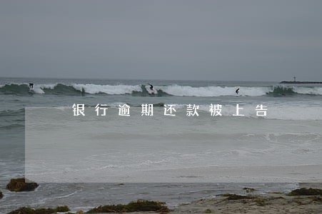 银行逾期还款被上告