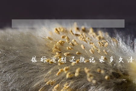 银行逾期还款记录多久清