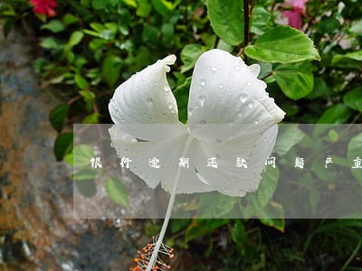 银行逾期还款问题严重吗 银行逾期还款问题严重吗