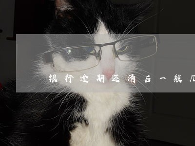 银行逾期还清后一般几天撤诉 银行逾期还清后一般几天撤诉