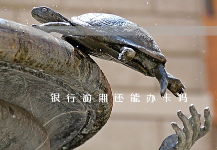 银行逾期还能办卡吗 银行逾期还能办卡吗
