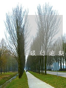 银行逾期还能申请贷款吗 银行逾期还能申请贷款吗