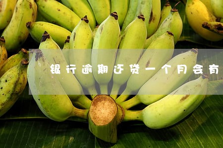 银行逾期还贷一个月会有哪些后果 银行逾期还贷一个月会有哪些后果