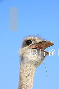 银行逾期进黑名单还能出来吗 银行逾期进黑名单还能出来吗