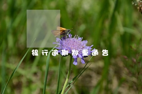 银行逾期郑重通告