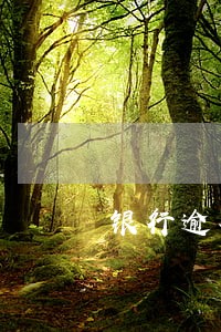 银行逾期银行人员上门怎么办