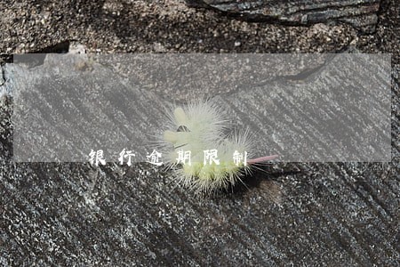 银行逾期限制 银行逾期限制