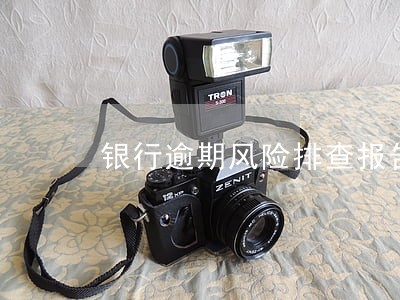 银行逾期风险排查报告 银行逾期风险排查报告