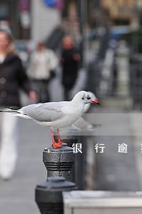 银行逾期风险管理工作内容是什么 银行逾期风险管理工作内容是什么