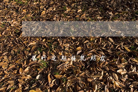 银行逾期骚扰朋友 银行逾期骚扰朋友