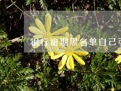 银行逾期黑名单自己可以卖车吗 银行逾期黑名单自己可以卖车吗