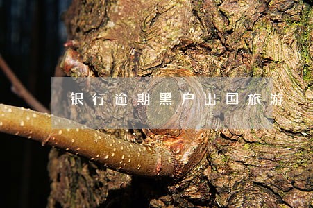 银行逾期黑户出国旅游 银行逾期黑户出国旅游