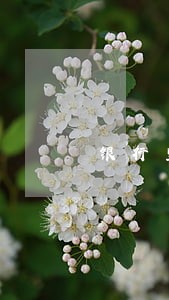 银行里只还利息不还本金吗 银行里只还利息不还本金吗