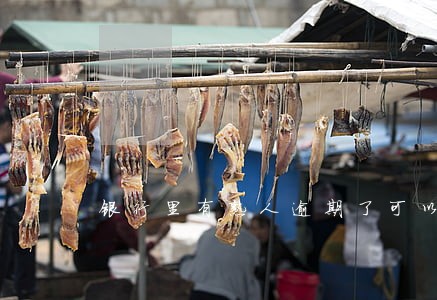 银行里有熟人逾期了可以还本金吗 银行里有熟人逾期了可以还本金吗