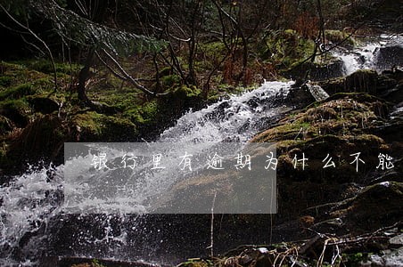 银行里有逾期为什么不能办贷款 银行里有逾期为什么不能办贷款