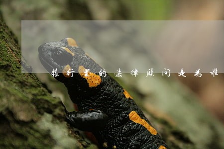 银行里的法律顾问是为谁服务的 银行里的法律顾问是为谁服务的