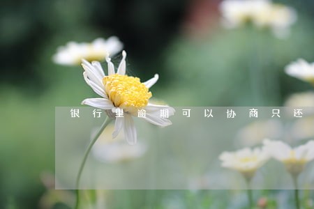 银行里逾期可以协商只还本金吗 银行里逾期可以协商只还本金吗