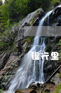银行里面办的信用卡逾期会怎么样 银行里面办的信用卡逾期会怎么样