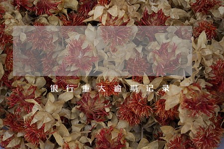 银行重大逾期记录 银行重大逾期记录
