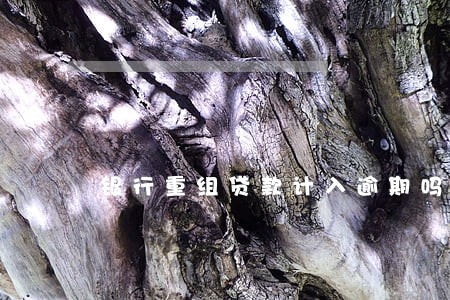 银行重组贷款计入逾期吗 银行重组贷款计入逾期吗