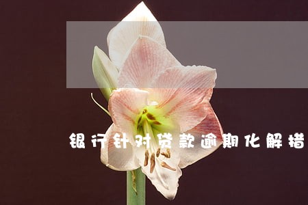 银行针对贷款逾期化解措施 银行针对贷款逾期化解措施