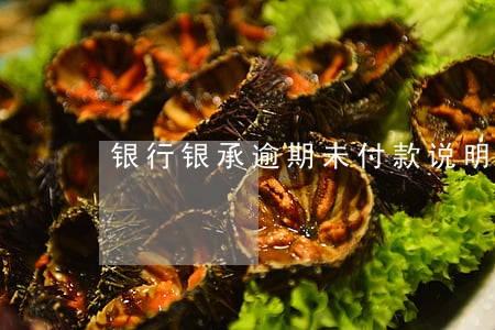 银行银承逾期未付款说明 银行银承逾期未付款说明