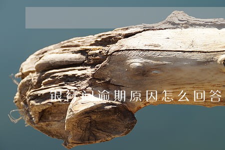 银行问逾期原因怎么回答