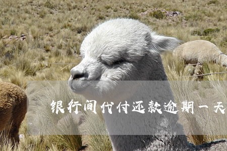 银行间代付还款逾期一天