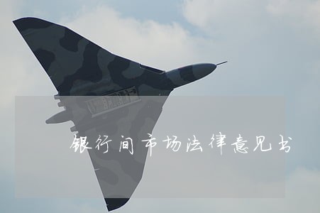 银行间市场法律意见书 银行间市场法律意见书