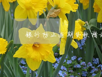 银行防止逾期贷款措施 银行防止逾期贷款措施