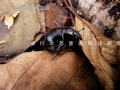银行非恶意逾期证明模式招商 银行非恶意逾期证明模式招商
