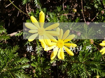 银行非额逾期说明 银行非额逾期说明