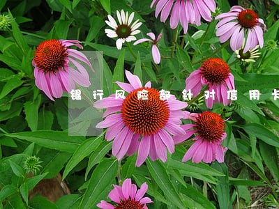 银行风险部针对信用卡逾期 银行风险部针对信用卡逾期